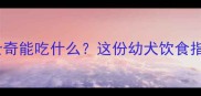 7个月大哈士奇能吃什么这份幼犬饮食指南太全了