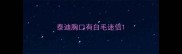 泰迪胸口有白毛迷信