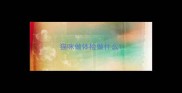 猫咪做体检做什么