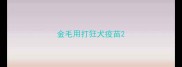 金毛用打狂犬疫苗