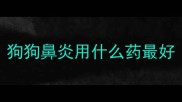 狗狗鼻炎用什么药最好