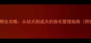 金毛犬换毛期全攻略从幼犬到成犬的换毛管理指南附护理技巧