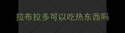 拉布拉多可以吃热东西吗
