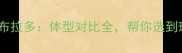 杜宾犬VS拉布拉多体型对比全帮你选到理想伴侣犬