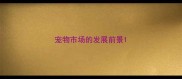 宠物市场的发展前景