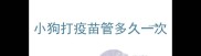 小狗打疫苗管多久一次