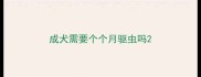 成犬需要个个月驱虫吗