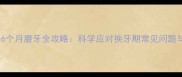 德牧幼犬3-6个月磨牙全攻略科学应对换牙期常见问题与护理指南