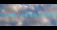 黑色法斗12个月养护全攻略宠物美容工具使用技巧与科学护理指南
