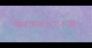 猫咪想喝水又不喝