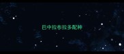 巴中拉布拉多配种