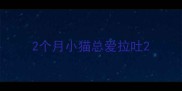 2个月小猫总爱拉吐