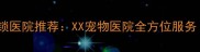 沈阳口碑宠物连锁医院推荐XX宠物医院全方位服务附避坑指南