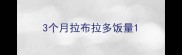 3个月拉布拉多饭量