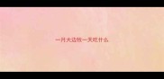 一月大边牧一天吃什么