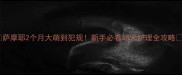 萨摩耶2个月大萌到犯规新手必看幼犬护理全攻略