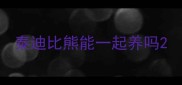 泰迪比熊能一起养吗