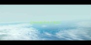 没时间能养哈士奇吗