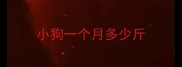 小狗一个月多少斤