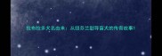 拉布拉多犬名由来从纽芬兰到导盲犬的传奇故事
