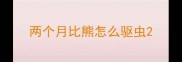 两个月比熊怎么驱虫