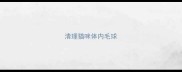 清理猫咪体内毛球
