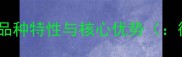德牧看家能力品种特性与核心优势德牧看家能力