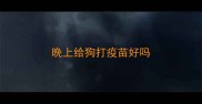 晚上给狗打疫苗好吗