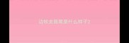 边牧走路尾是什么样子