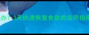 猫咪接种疫苗后不吃饭怎么办3天快速恢复食欲的实用指南附疫苗后护理全攻略