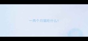 一两个月猫吃什么