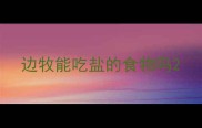 边牧能吃盐的食物吗