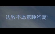 边牧不愿意睡狗窝