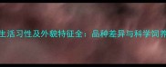 小狗生活习性及外貌特征全品种差异与科学饲养指南
