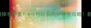 幼犬换毛期掉毛严重4-6月龄狗狗护理全攻略新手必看