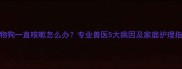 宠物狗一直咳嗽怎么办专业兽医5大病因及家庭护理指南