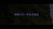 狗狗少打一年狂犬疫苗