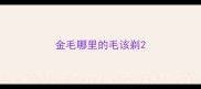 金毛哪里的毛该剃