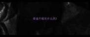 泰迪干呕吃什么药