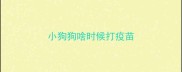 小狗狗啥时候打疫苗