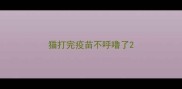 猫打完疫苗不呼噜了