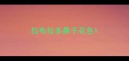 拉布拉多鼻子花色