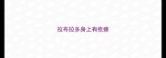 拉布拉多身上有疙瘩