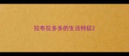 拉布拉多多的生活特征