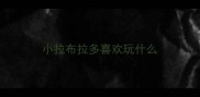 小拉布拉多喜欢玩什么