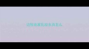 边牧在家乱咬东西怎么