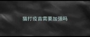 猫打疫苗需要加强吗