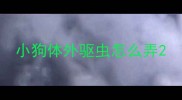 小狗体外驱虫怎么弄