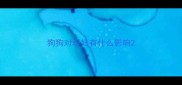 狗狗对孕妇有什么影响