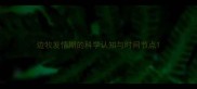 边牧发情期的科学认知与时间节点